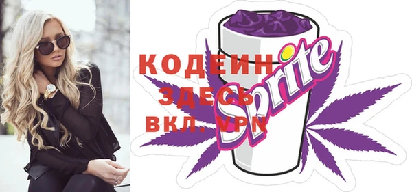 твердый Бородино