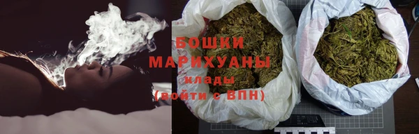 PSILOCYBIN Верхний Тагил