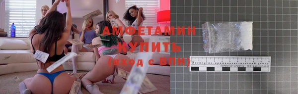 твердый Бородино
