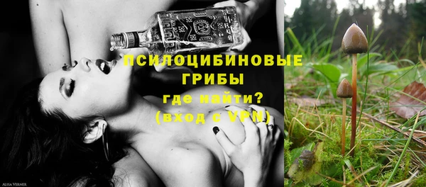 PSILOCYBIN Верхний Тагил