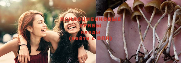 jwh Верея