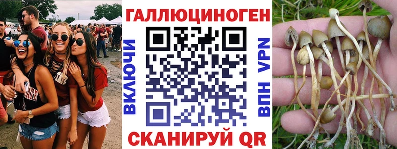 KRAKEN рабочий сайт Губкин Псилоцибиновые грибы ЛСД